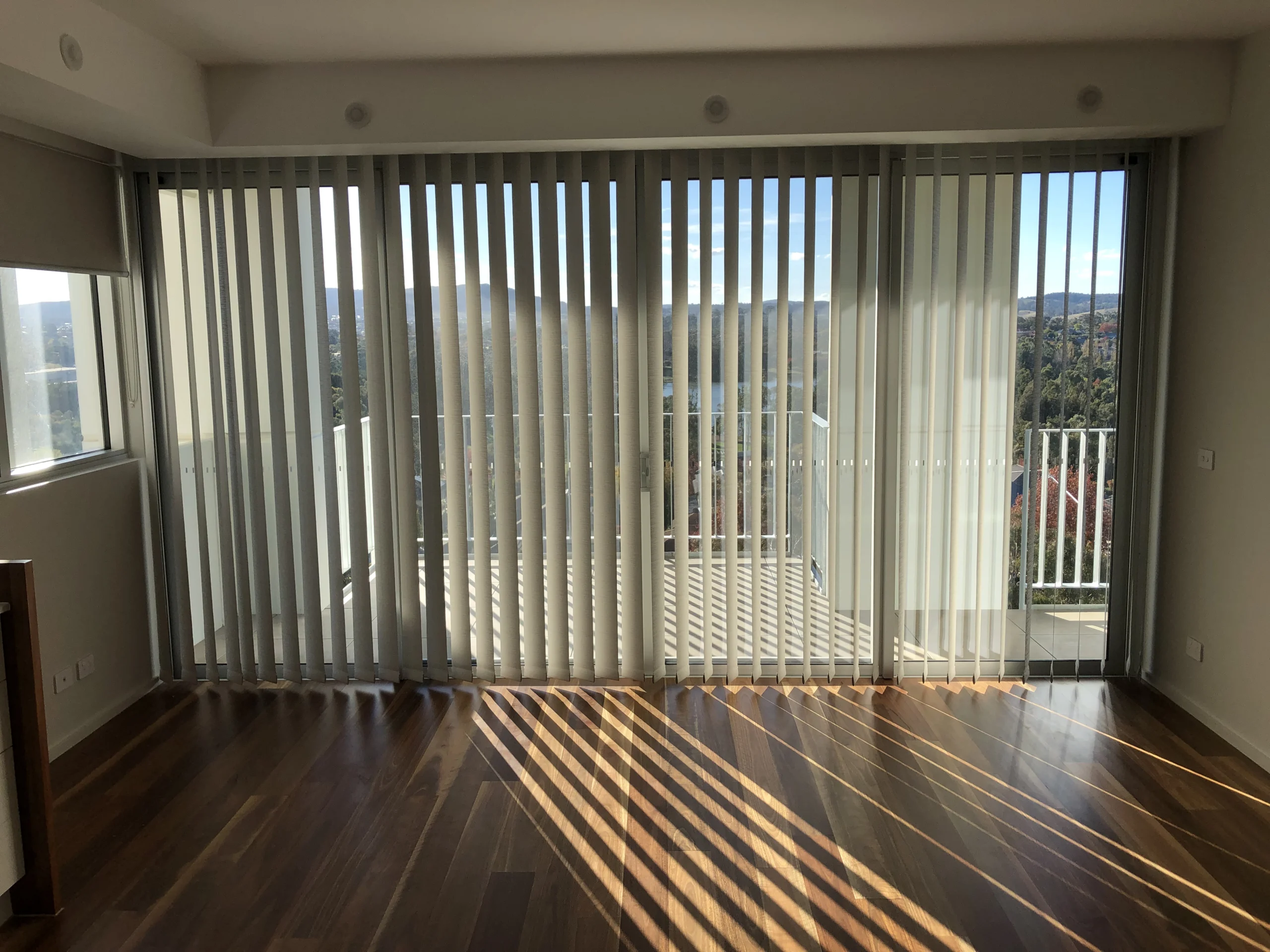 Vertical Blinds