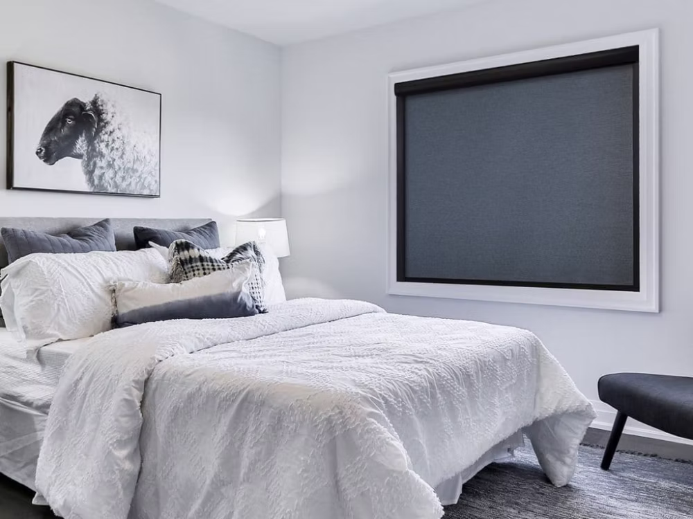 Modern window blinds for Australian homes