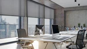 Best Roller Blinds for Canberra