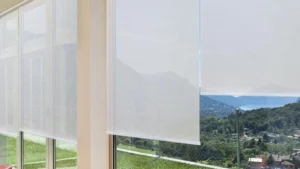Best Roller Blinds for Canberra
