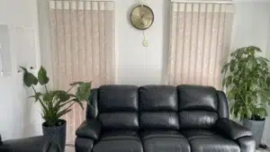 Best Softline Vertical Drapes